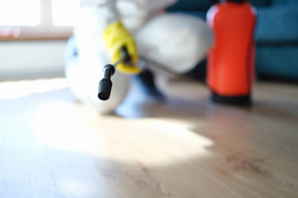 Best HVAC Mold Inspection and Cleaning  in Branford Center, CT