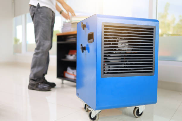 Best Basement Mold Removal  in Branford Center, CT